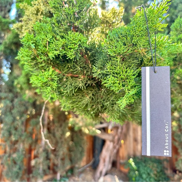 About Car Air Freshener | 6 Count (Pack of 1) | Leather Air - Picture 5 of 6